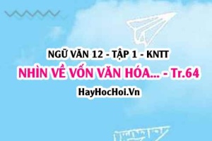 Soạn bài Nhìn về vốn văn hóa dân tộc trang 64 Ngữ văn lớp 12 tập 1 Kết nối tri thức